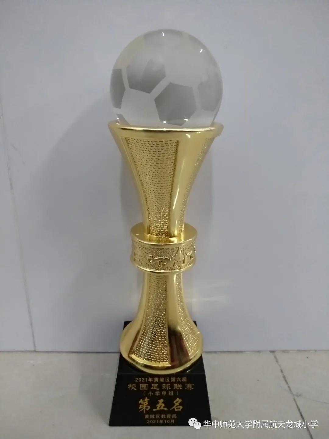 华师附属恒大龙城小学在2021年卓尔杯足球联赛中获小学甲组第五名