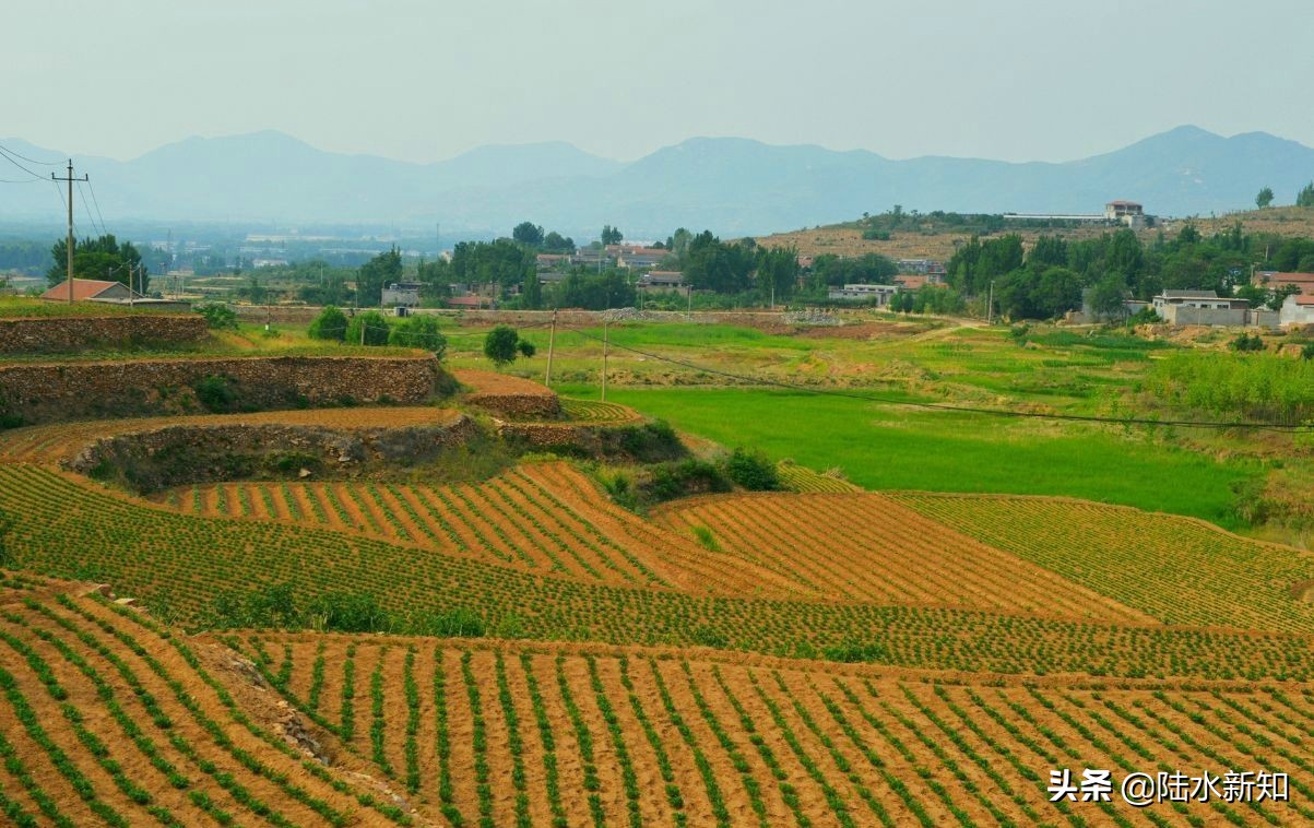 拼多多农村电商趋势分析,马云预言未来的20年农村6大机遇