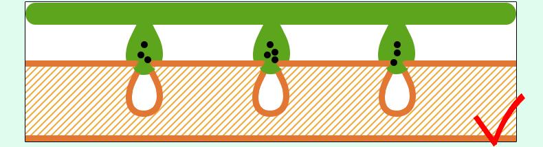 细致毛孔光滑肌肤,真正精致的女人都很高级