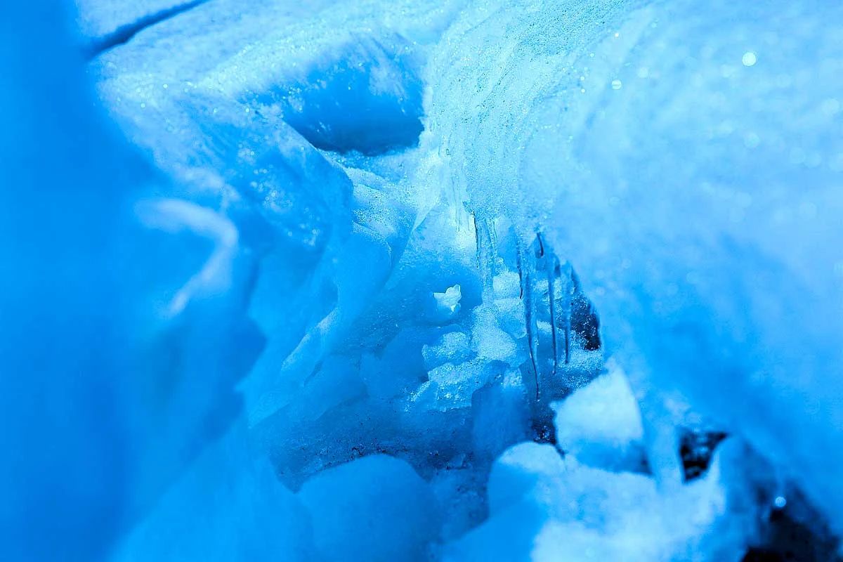 冬季的庭院景观,美丽如画的自然景观让人心旷神怡