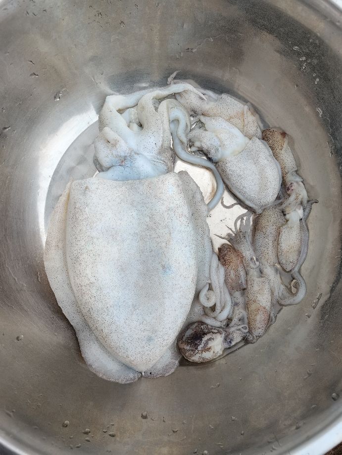 包网捕鱼到底要怎么样，答案在这里。