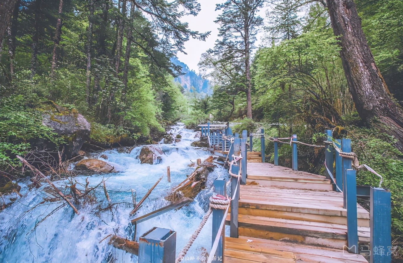 自己坐车去九寨沟玩怎么玩,开车去九寨沟自助游攻略