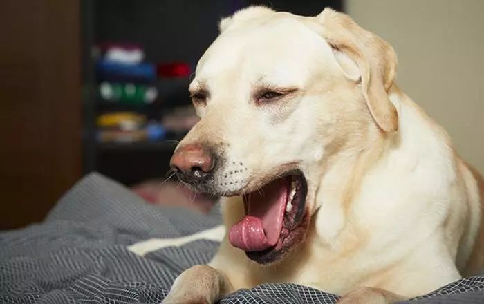 妈妈不得错过的接种疫苗小知识,关于乙肝疫苗接种知识