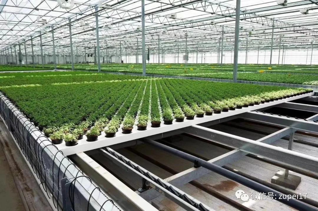 塑料圆拱形大棚,拱形温室大棚