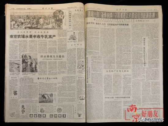 卫岗牛奶来历,卫岗牛奶品牌故事