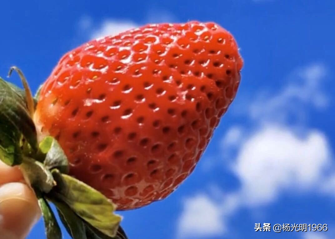 榛斾笢鍗楄嫍鏃忎緱鏃忚嚜娌诲窞鍑噷鑽夎帗 (鍑噷涓嬪徃鑽夎帗澶栭攢鎯呭喌)