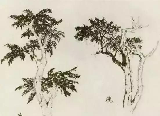 缠枝、挺杆、屈节、钮裂、一棵树如何画？看了这篇你绝对能学会
