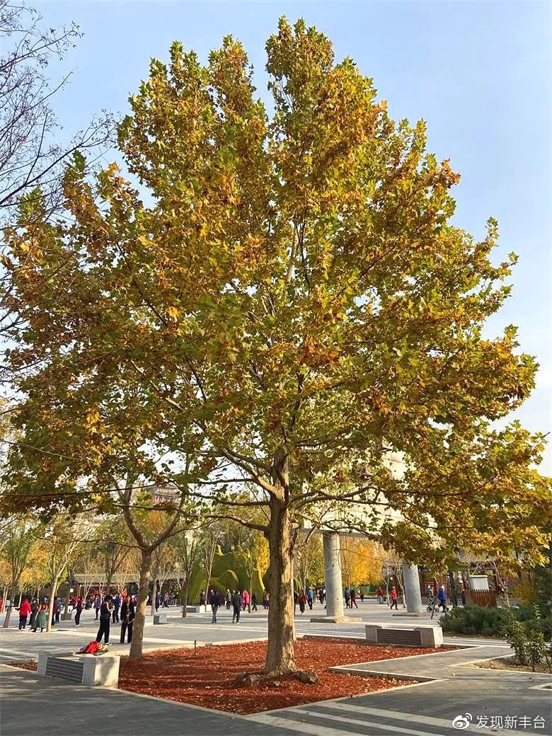 八大处公园赏秋攻略,最值得去赏秋的公园