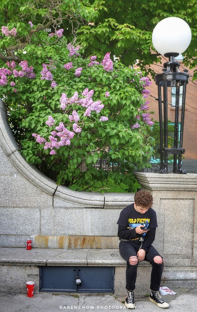加拿大小众旅游目的地,加拿大纽芬兰自驾旅游