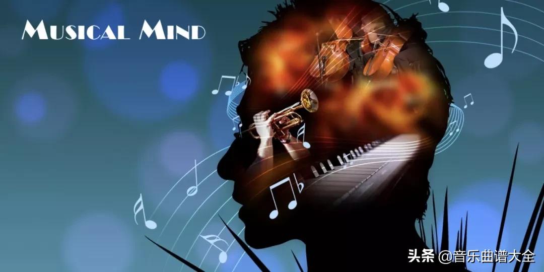 与钢琴有关常识的书,钢琴常识基础知识