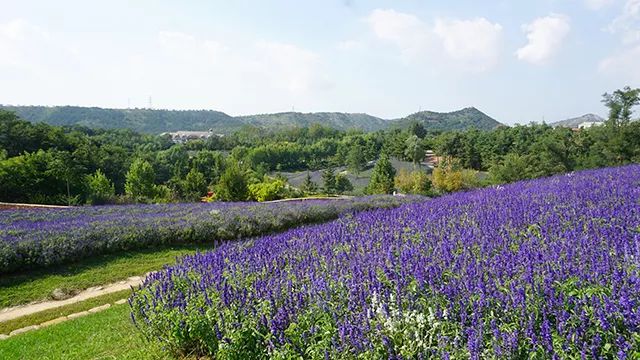 大连九月旅游攻略大全,大连11月旅游的最佳地方