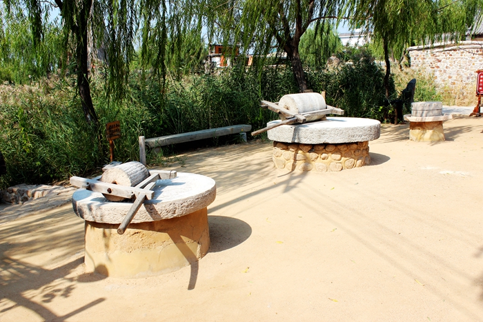 东北风情真实情况,最真实的东北风情