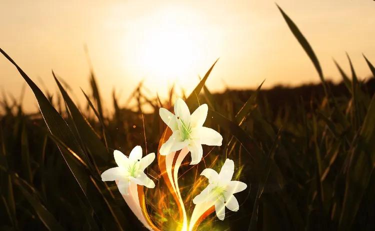 想挽回前任可以挽回吗,想挽回前任后来不想挽回了