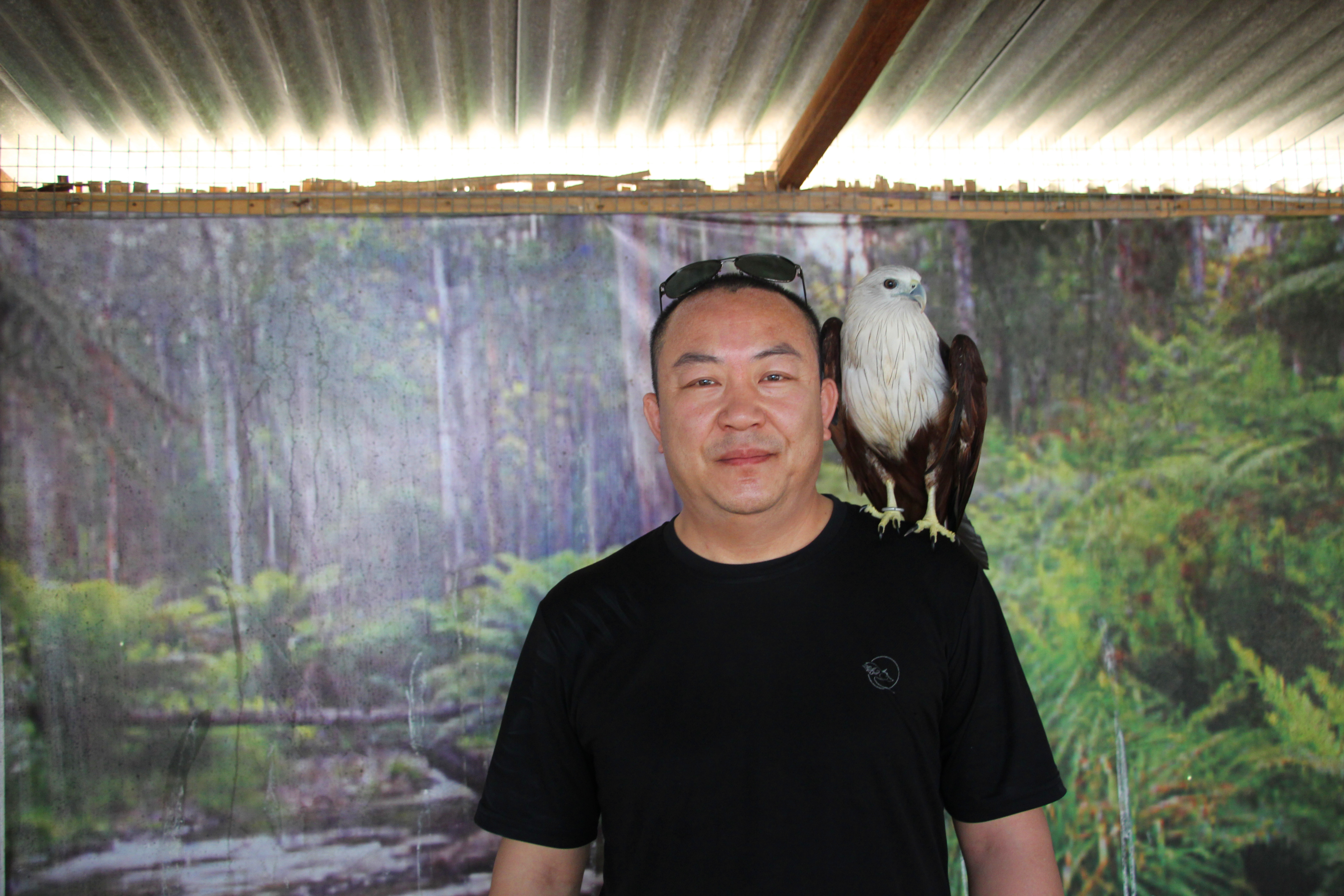 天堂之岛巴厘岛,天堂之岛巴厘岛旅游