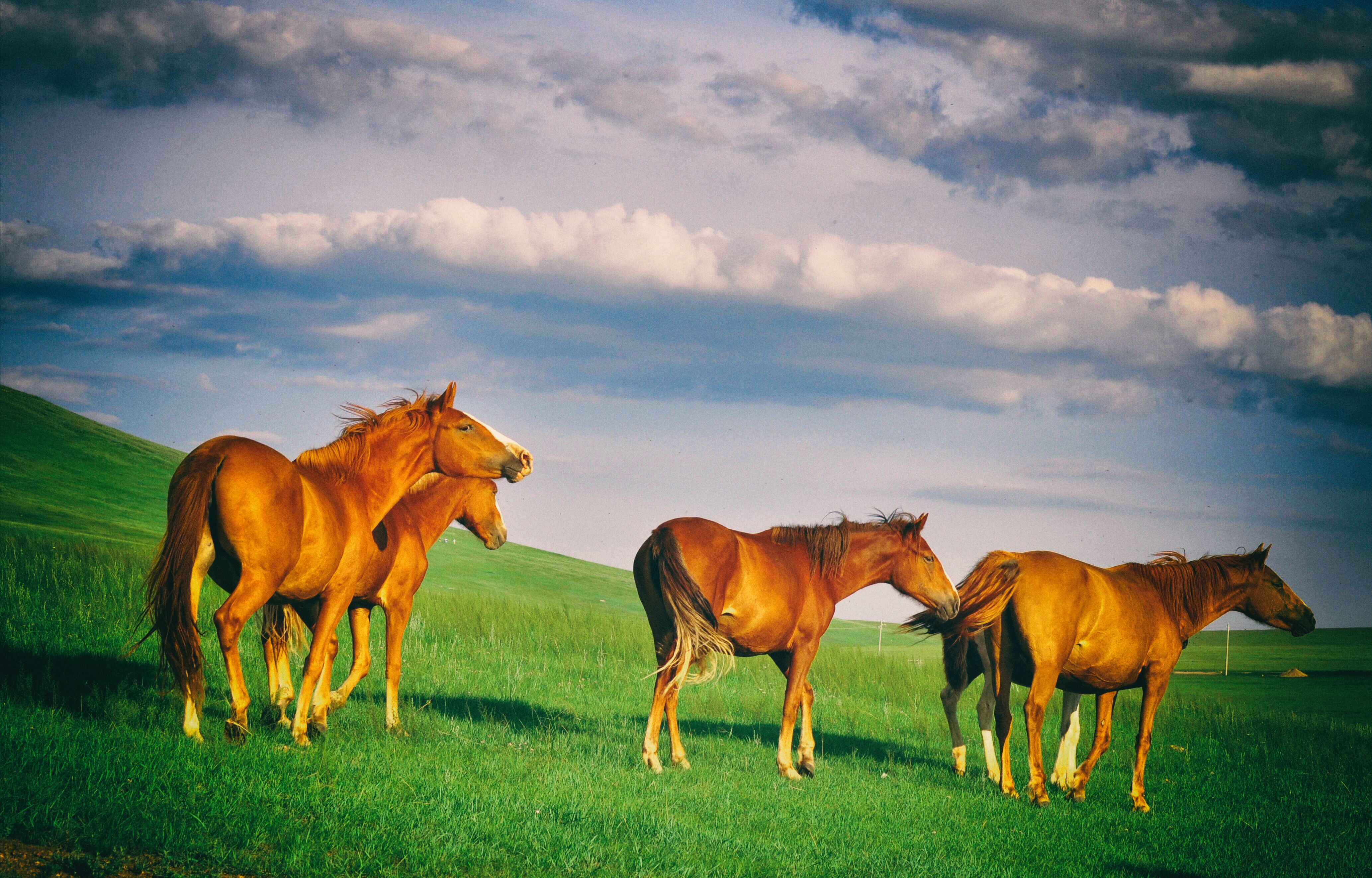 东北边疆,东北行游记2019