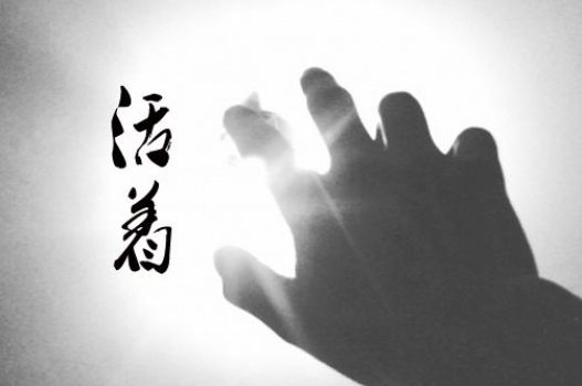 2024快运行业发展现状及趋势,快运发展方向