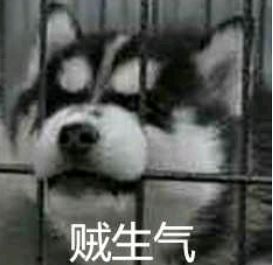 广州“酒托女”千杯不倒灌酒术曝光了！视频全拍下了