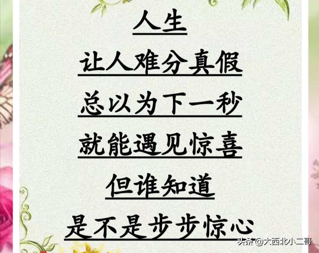 我的生活相册作文,生活相册制作