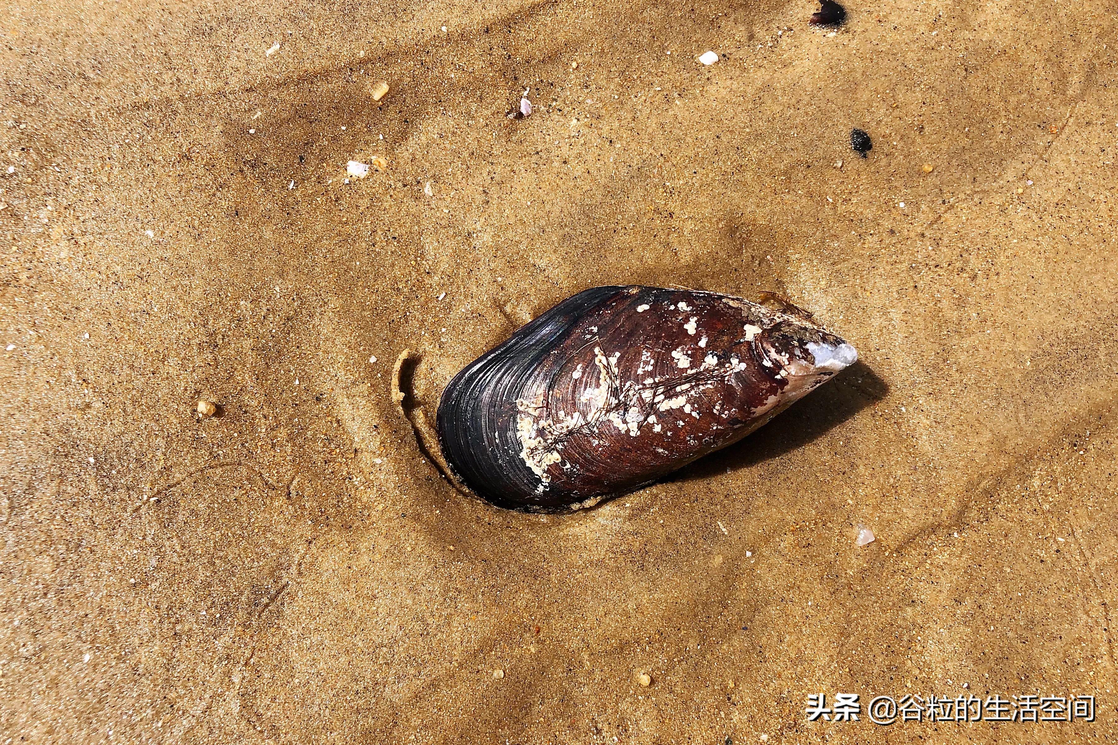 偷偷告诉你一个约会的好地方,告诉你一个亲子游的好地方