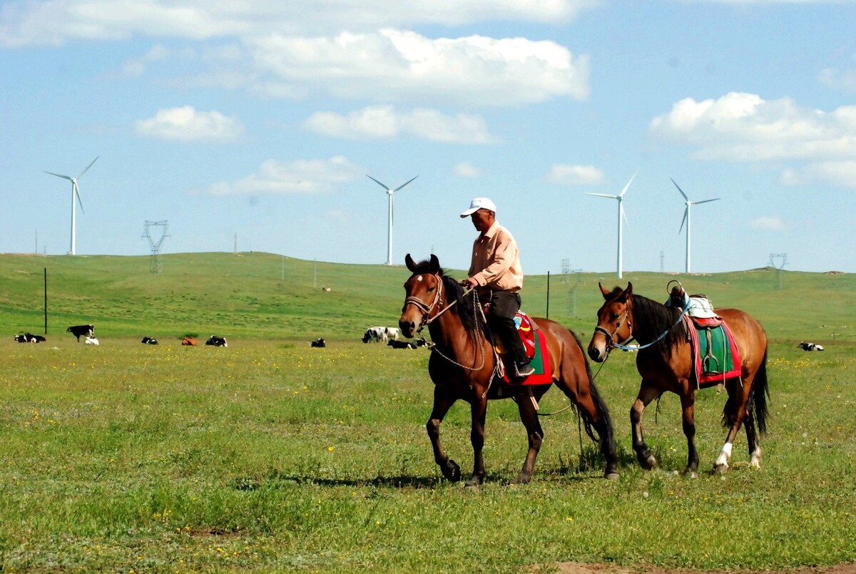 1992西藏砖茶,新疆的砖茶是什么茶