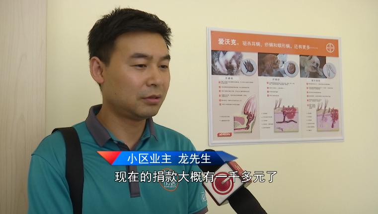 小狗被灌502胶水,11只小奶狗被502胶水伤害