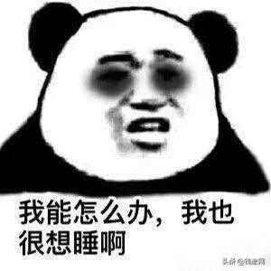 期货人的一天,期货人日常