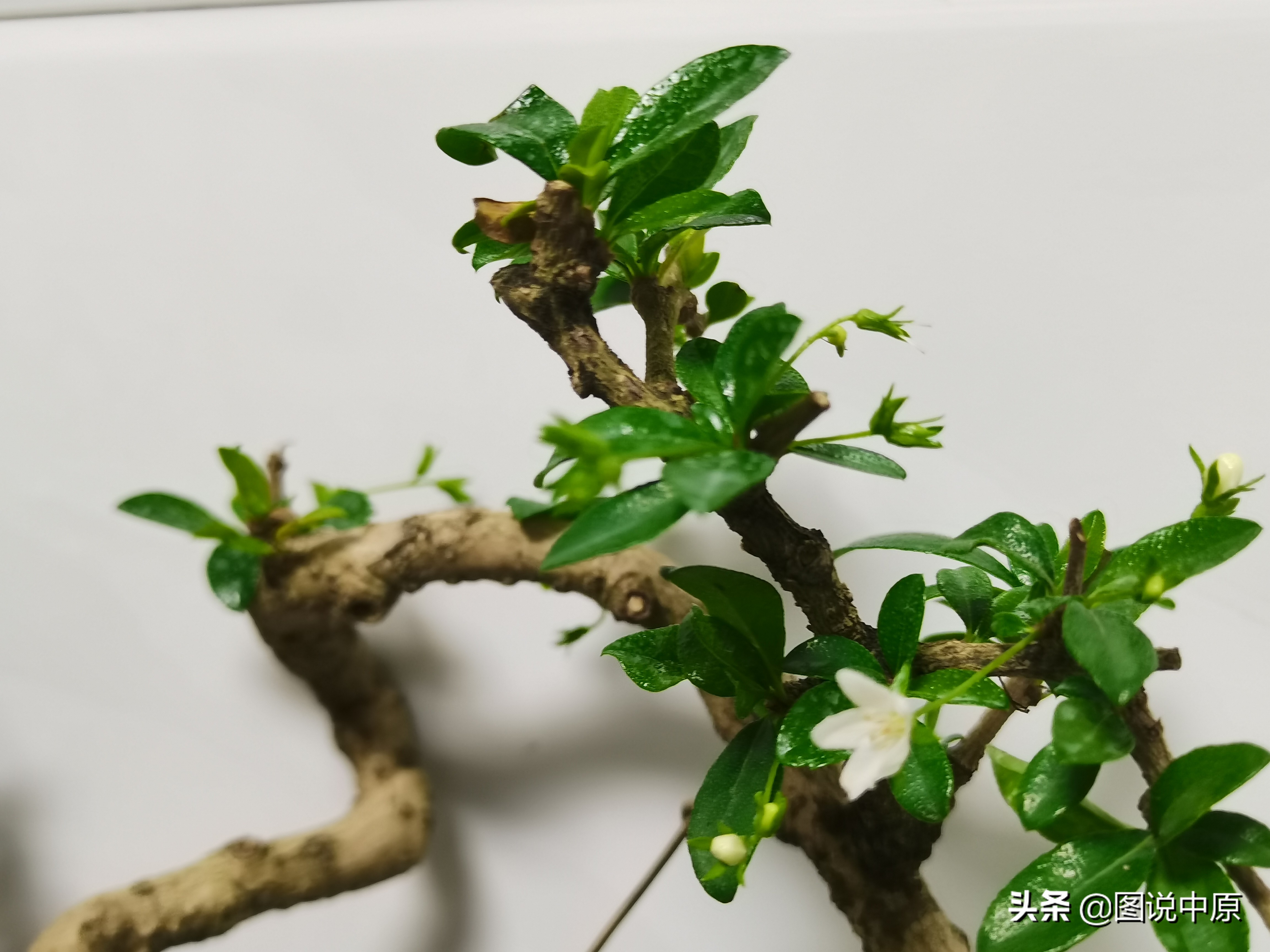 做美发赌博输光欠债如何翻身,我是一名美发师视频