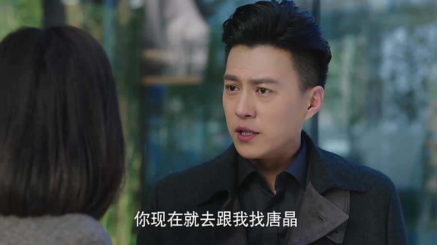 重温我的前半生贺涵罗子君,重温我的前半生电视剧