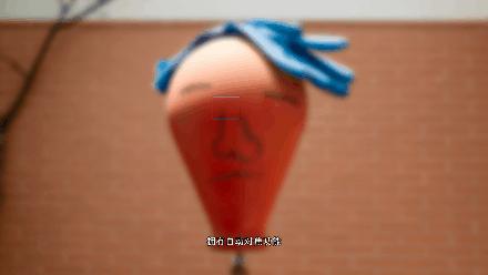 ccd相机内部结构图,单反相机的结构