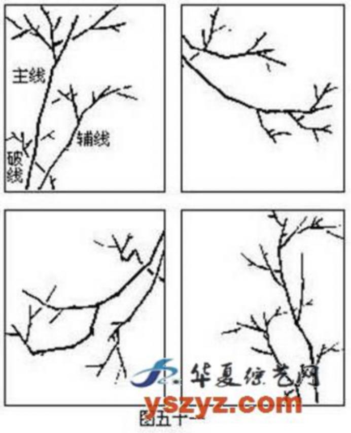 梅花画法简笔画,梅花画法的视频