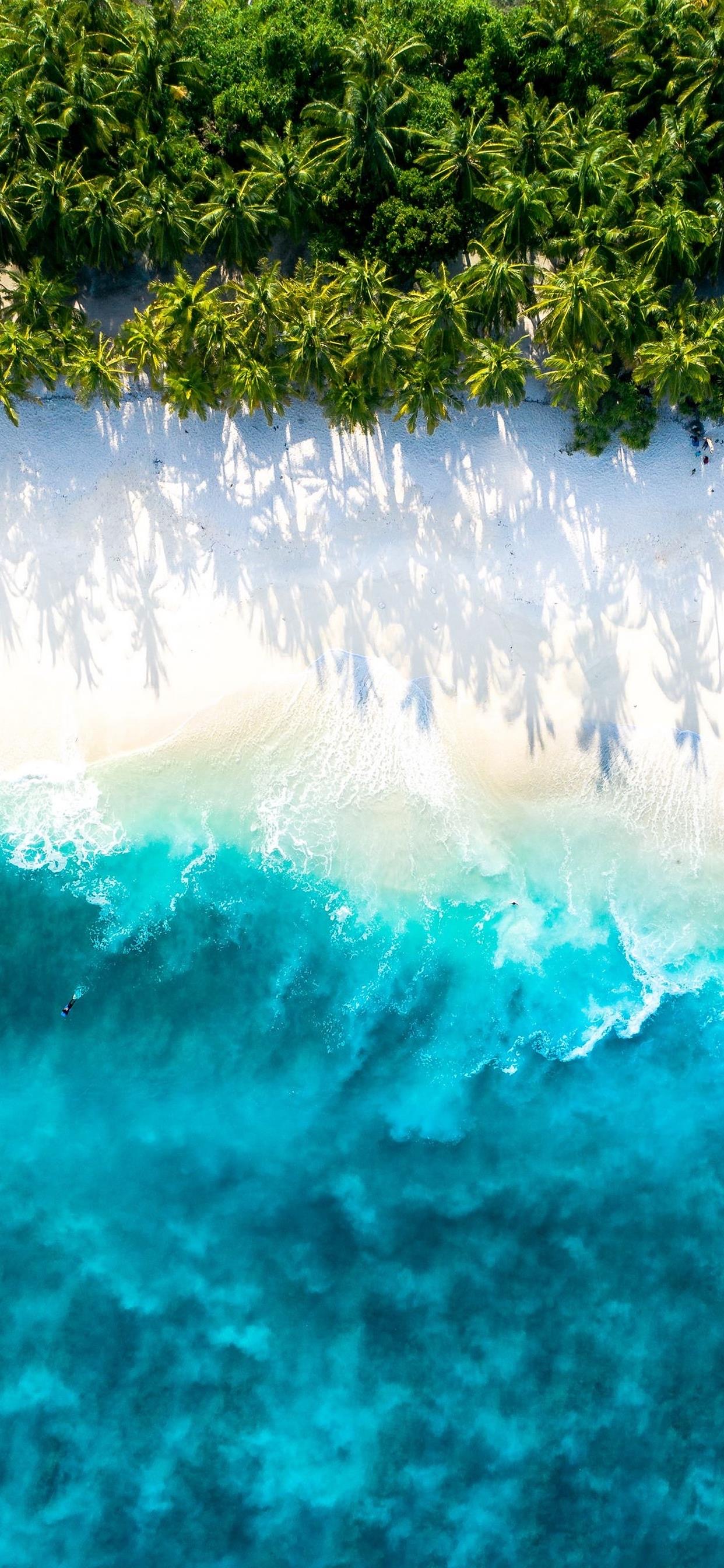 热门壁纸134期,快收藏高质量壁纸合集