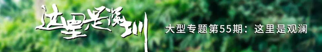 观澜到底有多强,观澜为什么消费很低