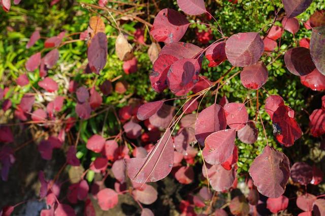 巫山究竟是一个什么样的地方，为什么重庆人都觉得他太遥远