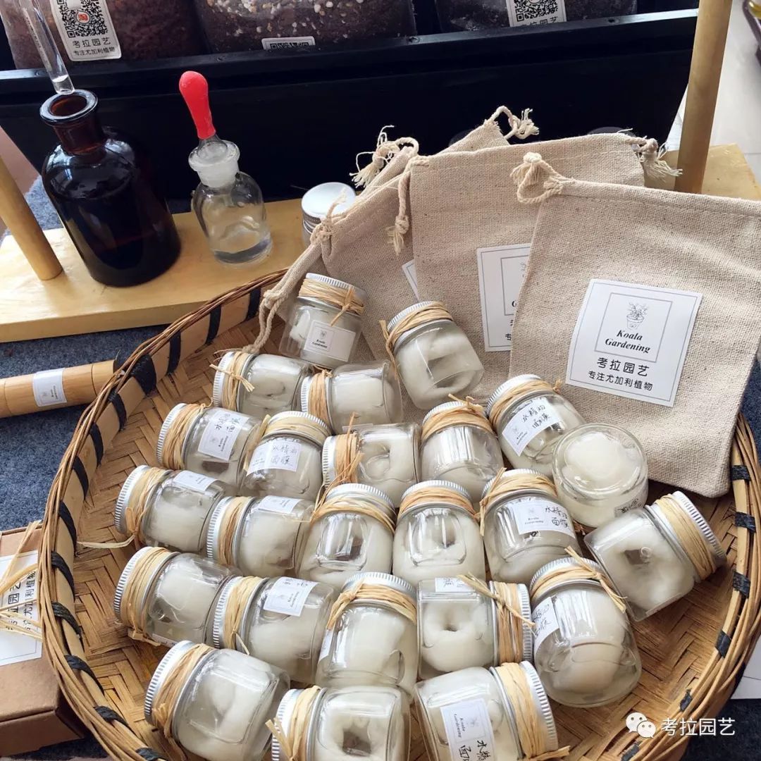 大地的恩赐图片,大地的馈赠是大天域吗