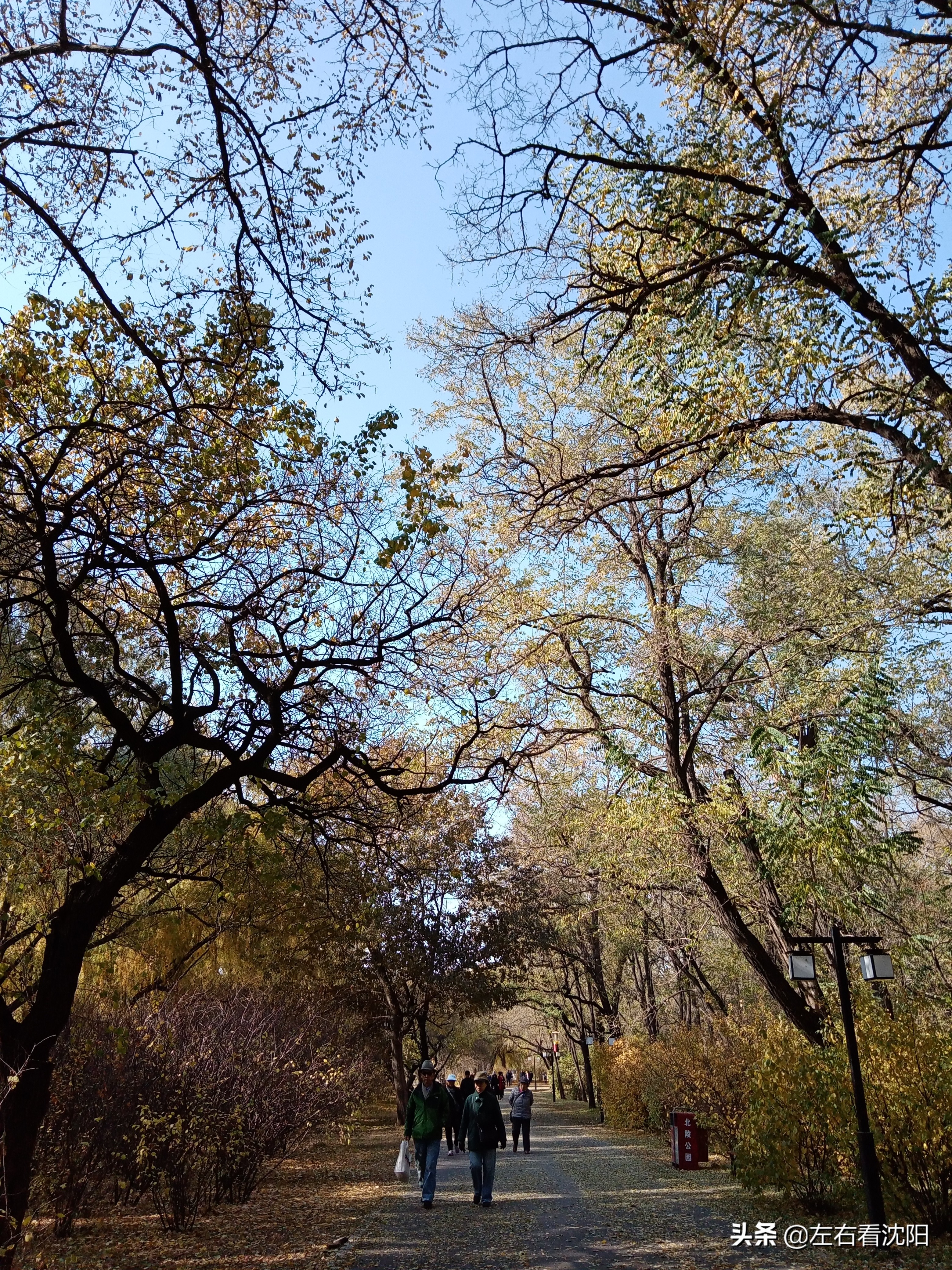 秋季沈阳北陵公园有啥好玩的,漫步沈阳北陵公园湖水边