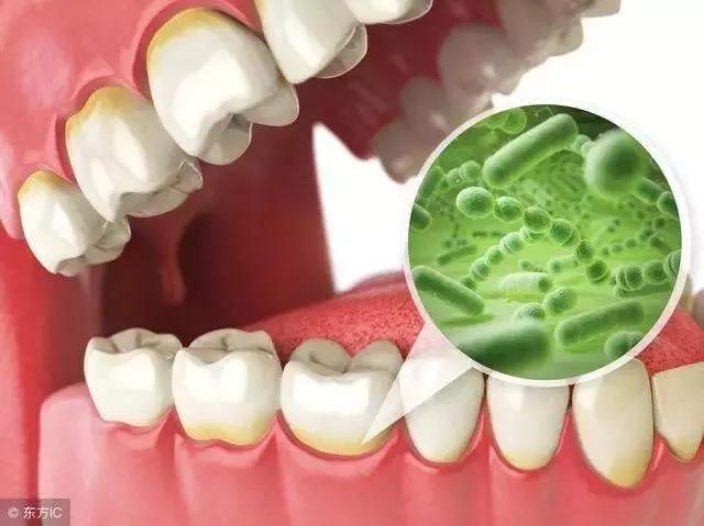 母婴健康包括哪些方面,母婴健康与疾病