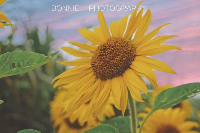 嵊泗列岛三天三夜自由行攻略 (嵊泗本岛三天两夜自由行攻略住宿)