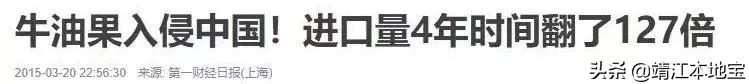 牛油果产品卖点和价格,牛油果哪里的产物