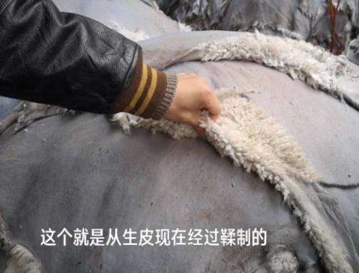 全球最大雪地靴生产基地！河南桑坡村