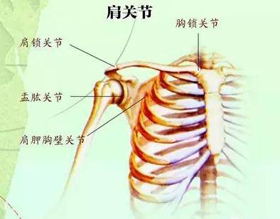 肩膀酸痛部位图,肩膀酸痛的最佳治疗方法