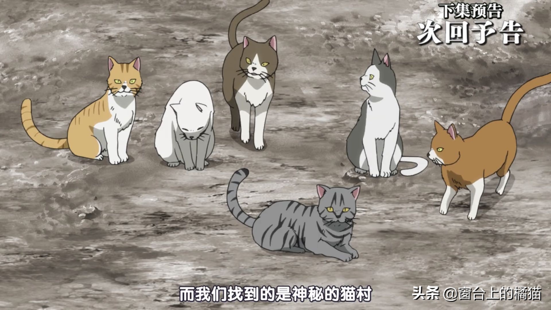 犬夜叉第二部半妖的夜叉姬几号出,犬夜叉第二部半妖的夜叉姬15