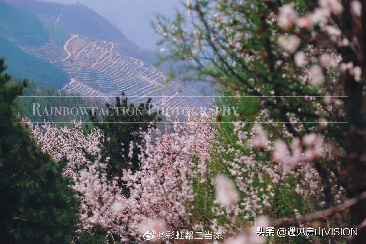 人间四月芳菲天,最美春天在房山——蒲洼行记