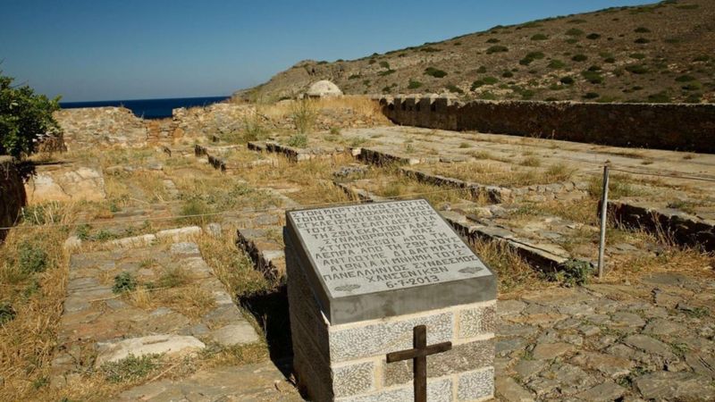 非洲大批黑猩猩感染人类病毒，变成丑八怪，科学家无法治疗