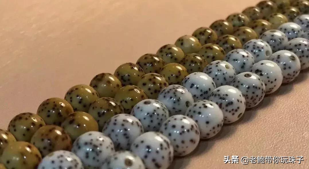 星月菩提咬手怎么办,菩提星月咬手