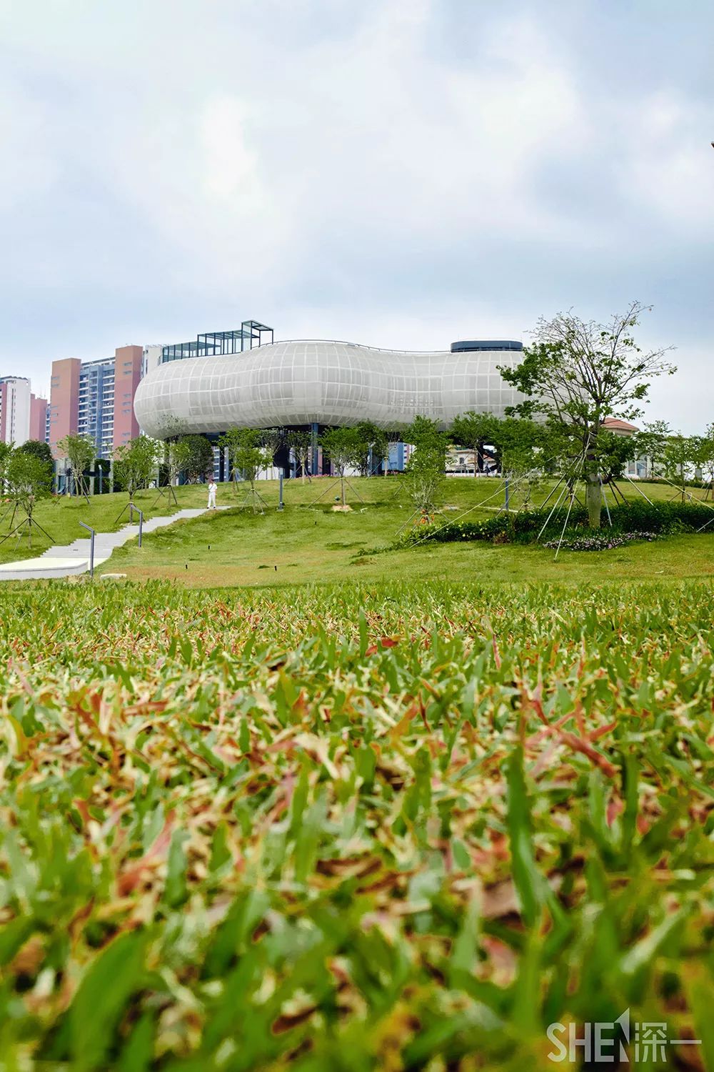 深圳龙华公园推荐,深圳龙华免费公园