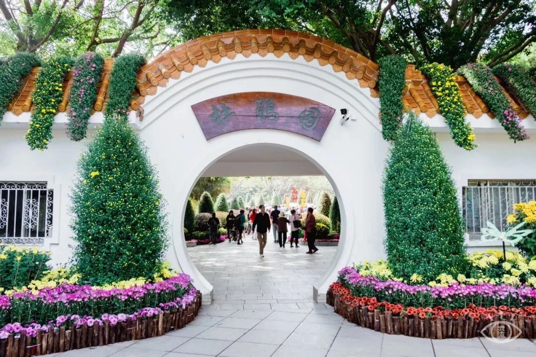 深圳3号线有哪些可以玩的,深圳7号线攻略