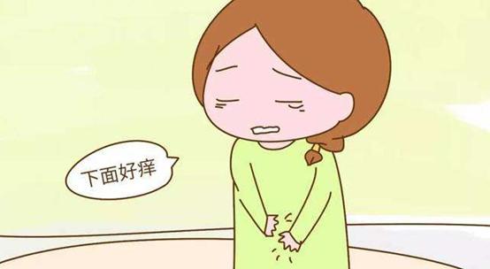 萎缩性阴道炎症状及治疗,老年阴道炎症状用什么药