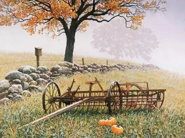 体罚是扭曲的教育,体罚是一种记忆吗