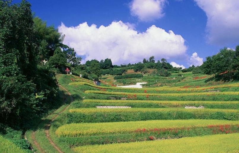 12星座被爱的人伤的有多深,十二星座男如何修复感情