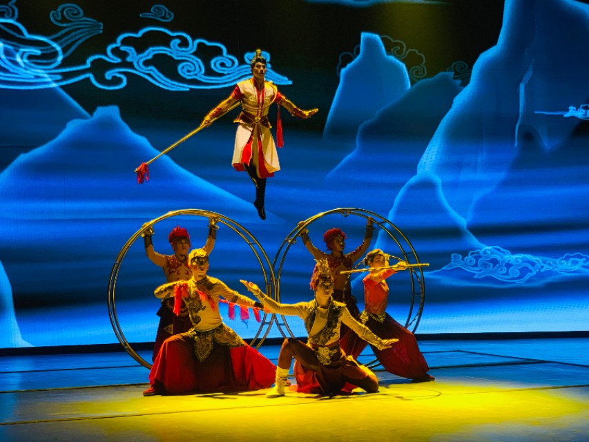 没有对比就没有伤害人类和动物,没有对比就没有伤害全运会